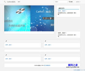 catfish 鲶鱼 cms 4.7.6 演示图